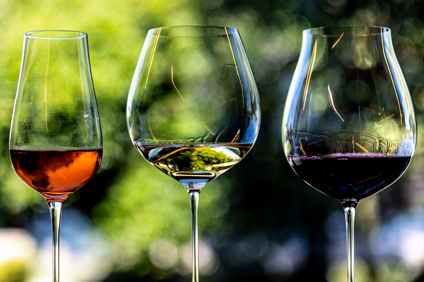 Prova de Vinhos e Queijos