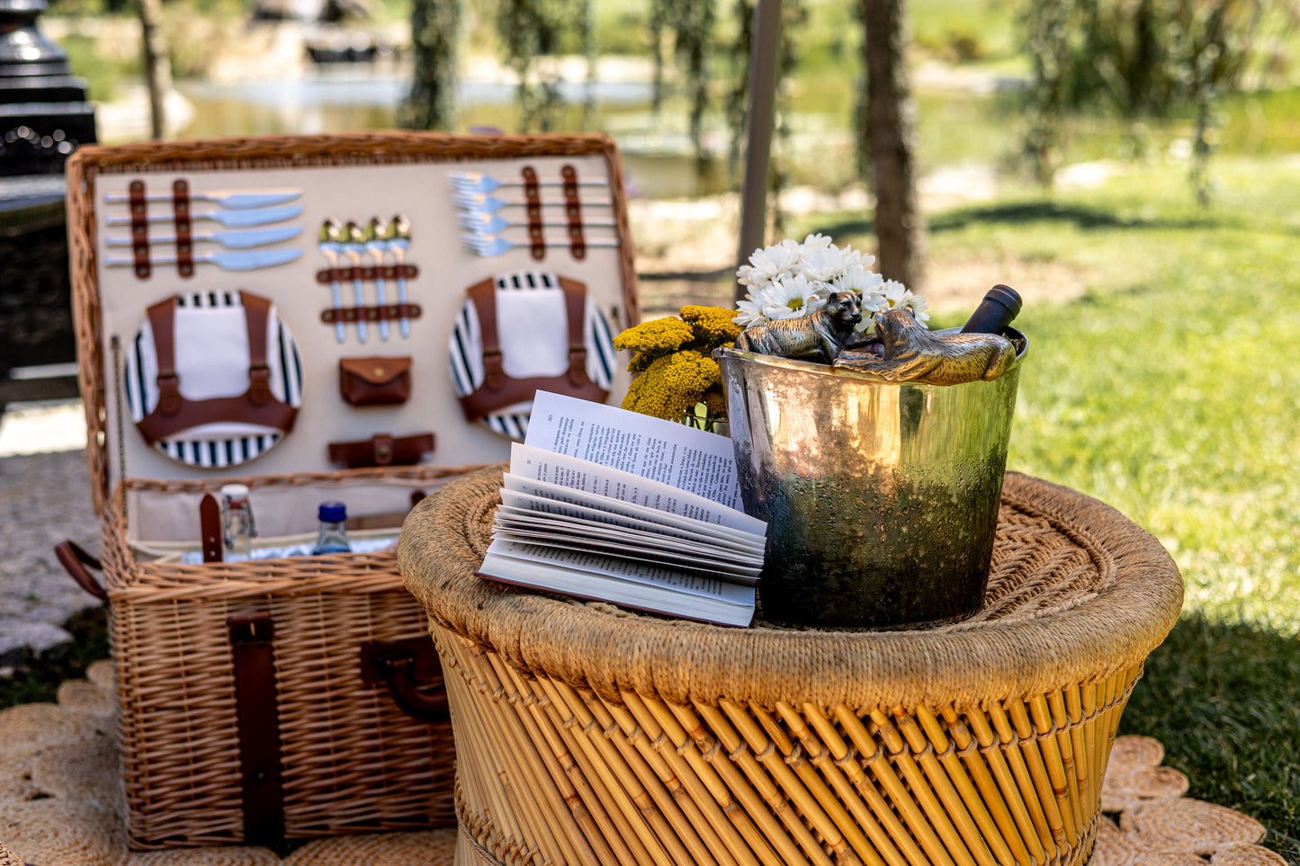 Picnic Cumplicidade